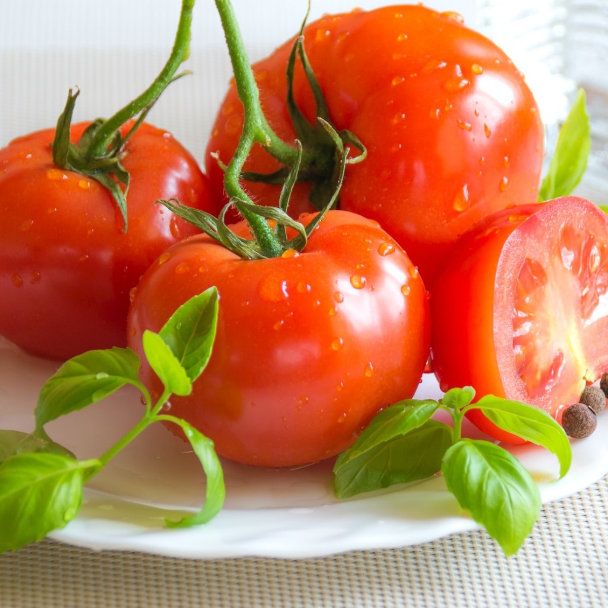 Tips for the best homegrown tomatoes with Big Tom tomato feed